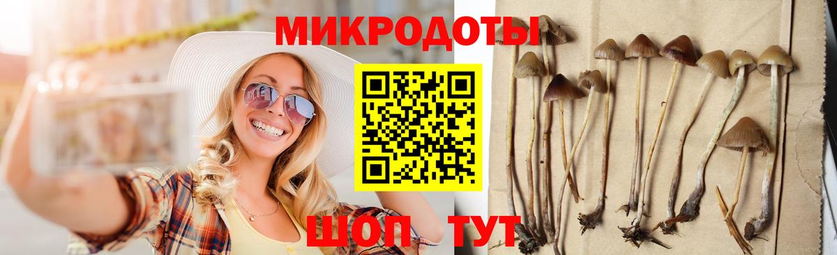 Псилоцибиновые грибы Psilocybe  Галлюциногенные грибы Cubensis  Лесосибирск  Вход с VPN 