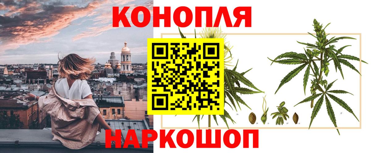 Канабис конопля Лесосибирск